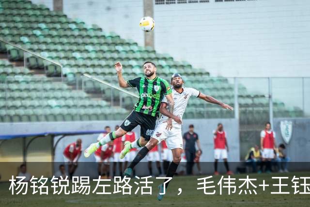 杨铭锐踢左路活了，毛伟杰+王钰栋国足未来双雄，大连3将身背3黄